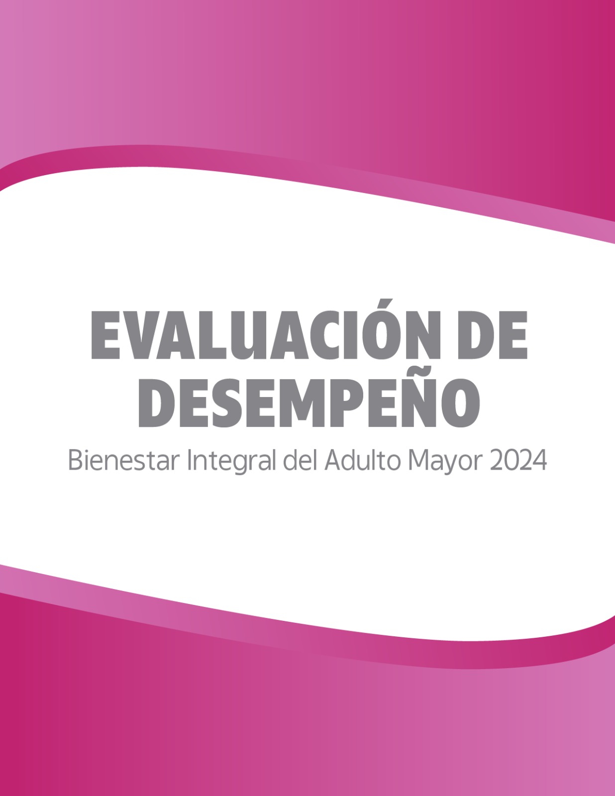 Evaluación de desempeño Bienestar Integral del Adulto Mayor 2024