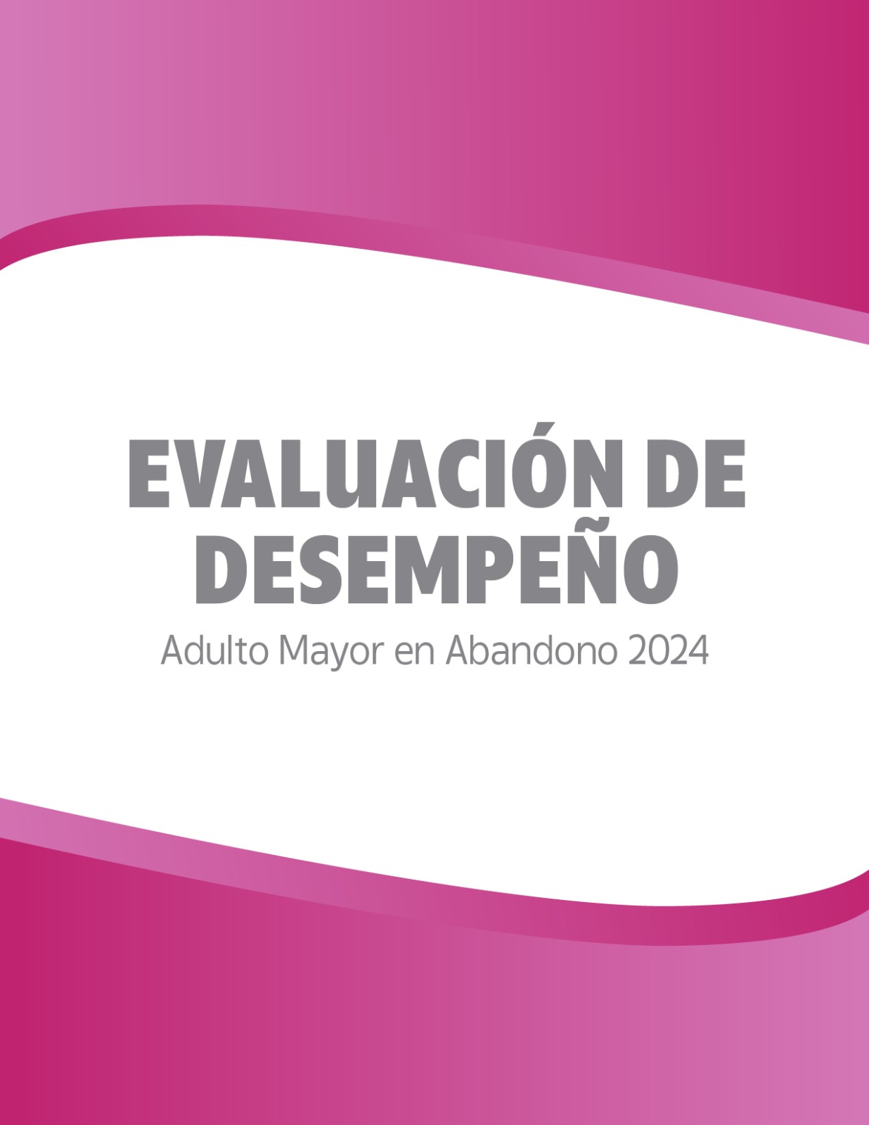 Evaluación de desempeño Adulto Mayor en Abandono 2024